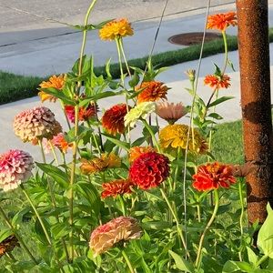 Meet your Posher, Brittney